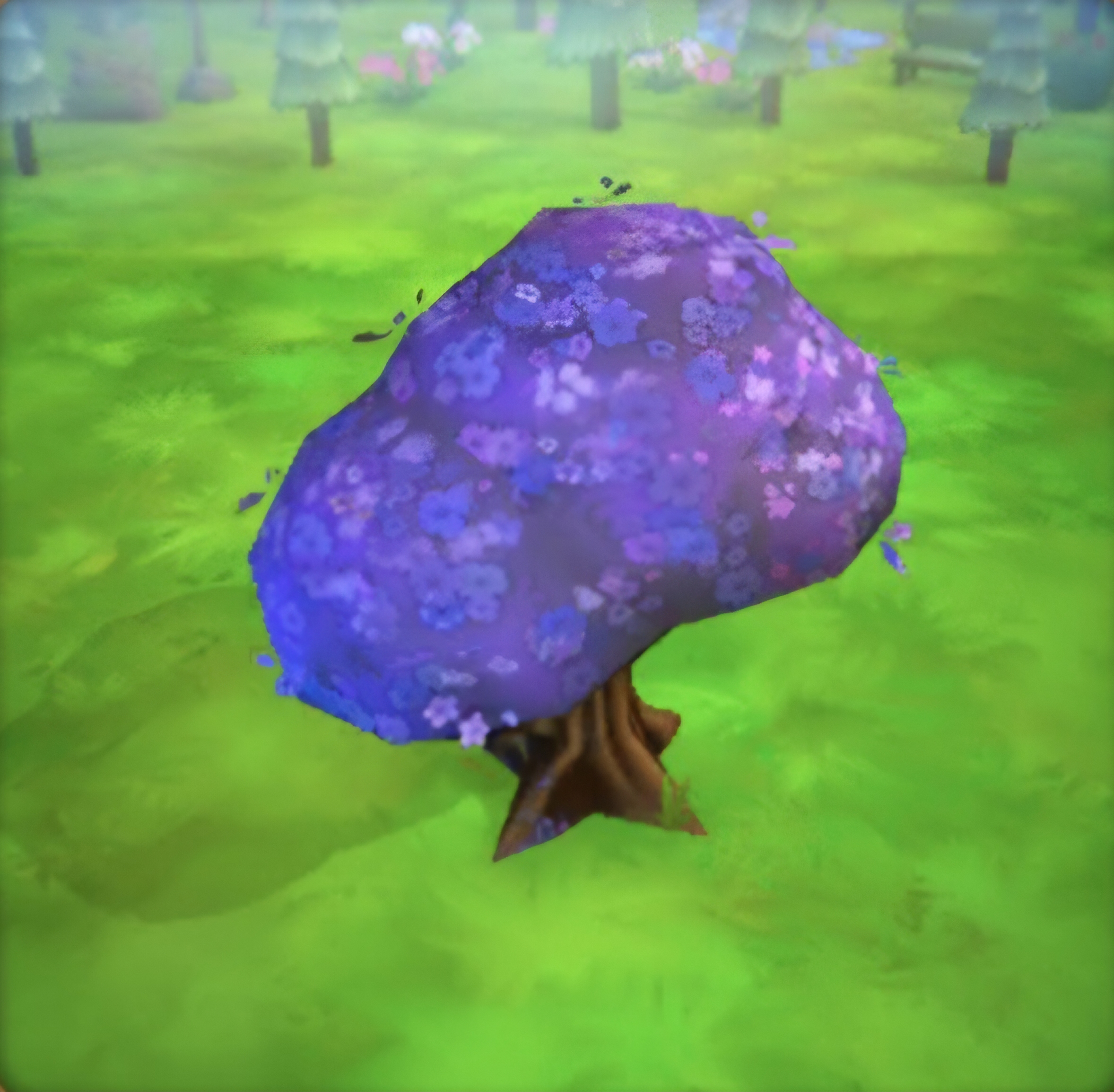 Reward Icon